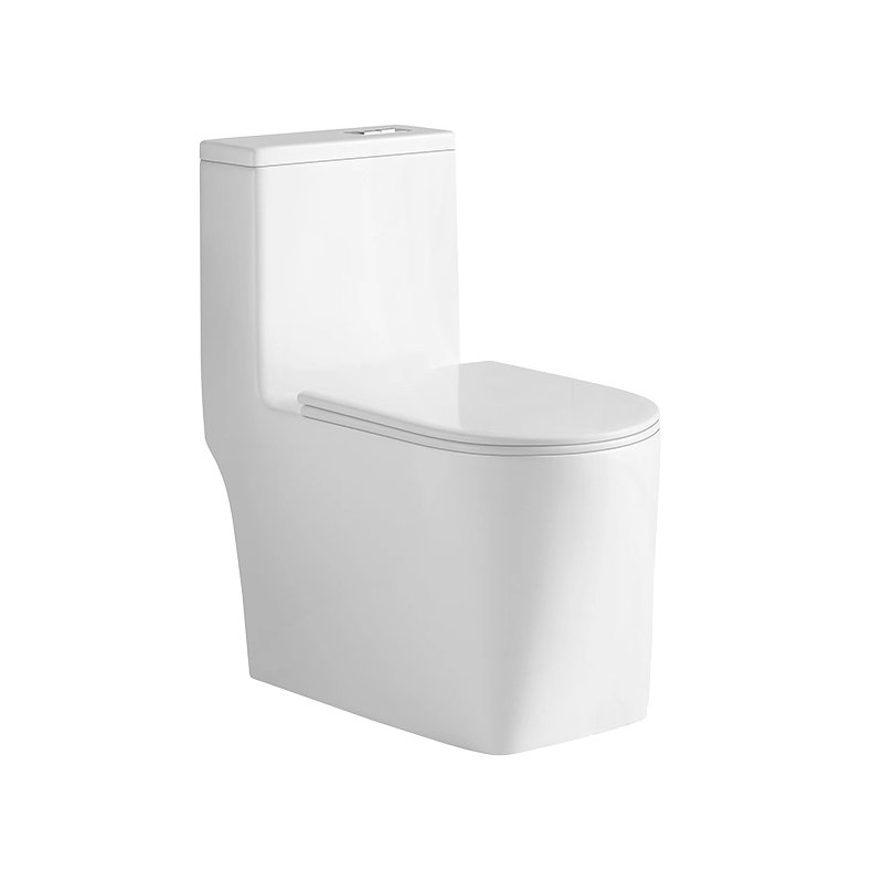 ZB019C-P