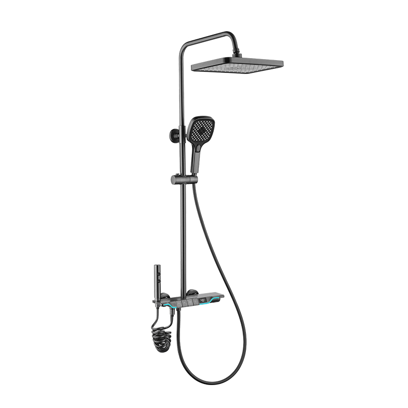 HSS007-Q4-C