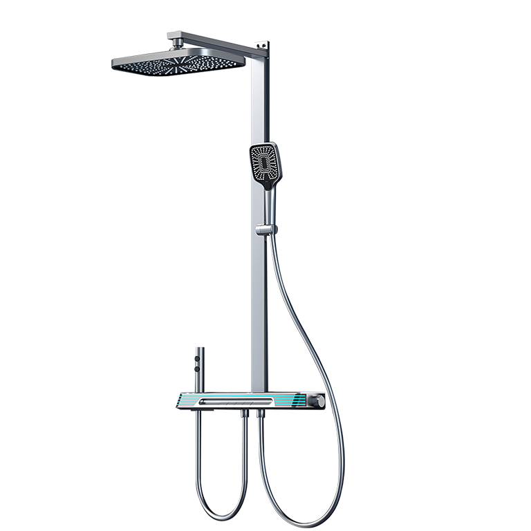HSS010-Q4-D